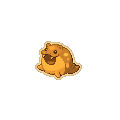 Gold Spheal